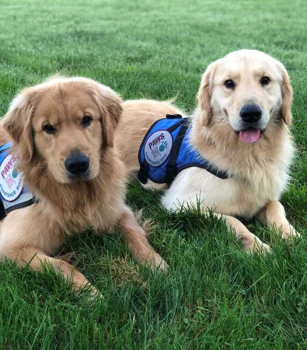 PAWS - Brothers SPUNKY and HAMLIN